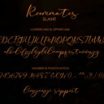 Roommates Script Font Poster 13