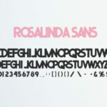 Rosalinda Trio Font Poster 7