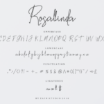 Rosallinda Font Poster 9