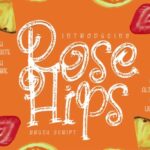 Rose Hips Font Poster 1