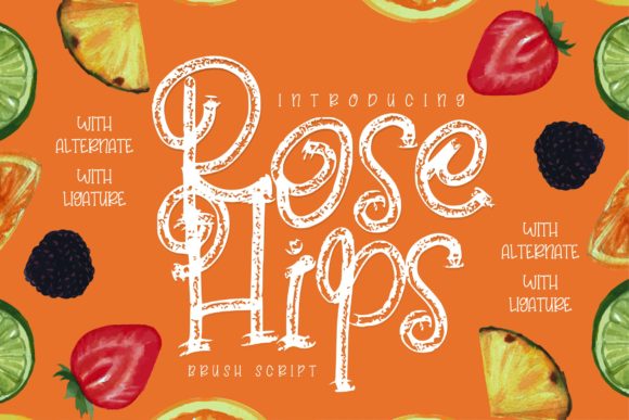 Rose Hips Font Poster 1