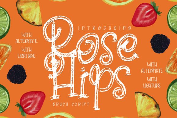 Rose Hips Font