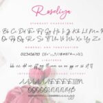 Roseliya Font Poster 9