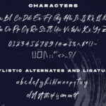 Rustic Font Poster 12