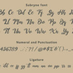 Sabryne Font Poster 10