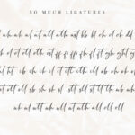 Sakage Font Poster 11