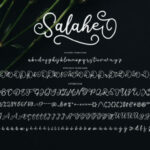 Salahe Font Poster 11