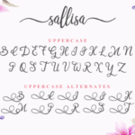 Sallisa Font Poster 2