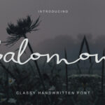 Salomon Font Poster 1