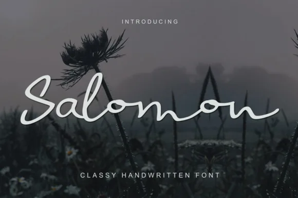 Salomon Font Salomon Font Poster 1
