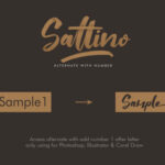 Saltino Script Font Poster 6