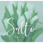 Salto Font Poster 1