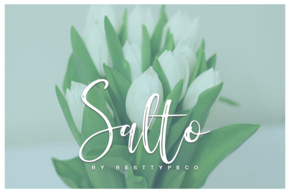 Salto Font Poster 1