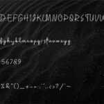Samora Font Poster 4