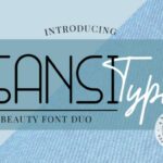 Sansi Type Duo Font Poster 1