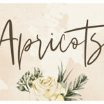 Sarvati Font Poster 8