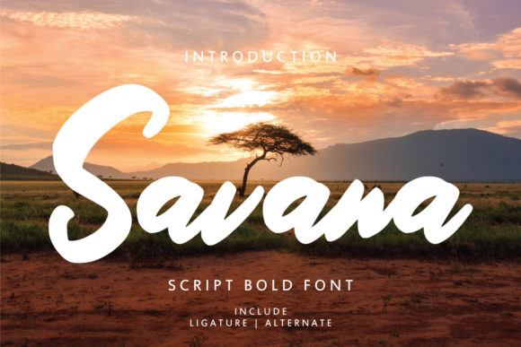 Savana Font Poster 1