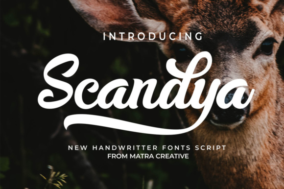 Scandya Script Font Poster 1