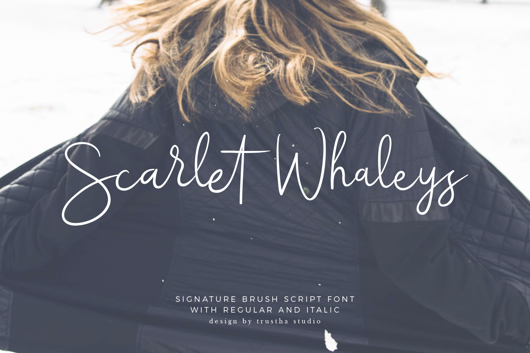 Scarlet Whaleys Font Poster 1