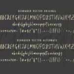 Schrader Font Poster 2