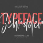 Schrader Font Poster 9