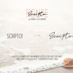 Scripto Fonte Font Poster 7