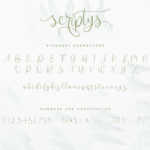 Scriptys Font Poster 11