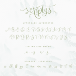 Scriptys Font Poster 12