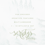 Scriptys Font Poster 13