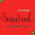 Seaweed Font Poster 1
