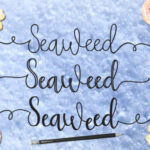 Seaweed Font Poster 2