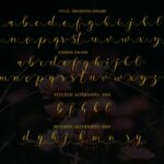 Sehaty Font Poster 8