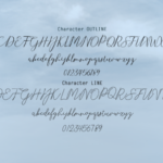 Selvia Duo Font Poster 4