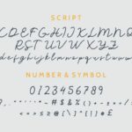 Selvilia Dreamer Font Poster 5
