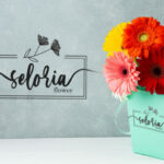 Serenity Script Font Poster 2