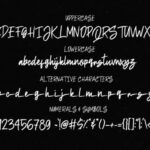Sethidy Font Poster 7