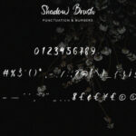 Shadow Brush Font Poster 11