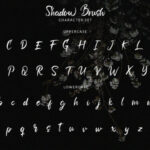 Shadow Brush Font Poster 8