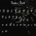 Shadow Brush Font Poster 9