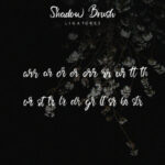 Shadow Brush Font Poster 10