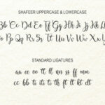 Shafeer Duo Font Poster 14