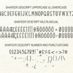 Shafeer Duo Font Poster 18