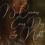 Shailene Script Font Poster 4