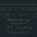 Shailene Script Font Poster 7