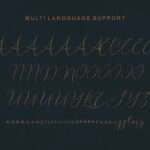 Shailene Script Font Poster 8
