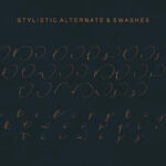 Shailene Script Font Poster 9