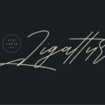 Shaloems Font Poster 2