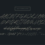 Shaloems Font Poster 10