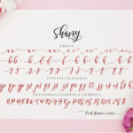 Shany Font Poster 10