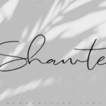 Shawte Font Poster 1